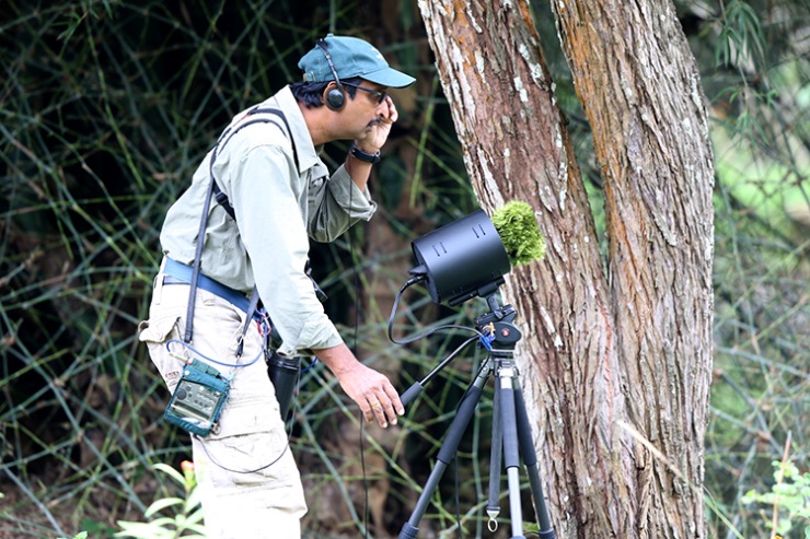 Mudumalai, South India, April 2015. Photo by Uditha Hettige
