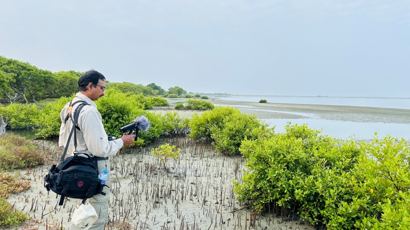 Urumalai, Thalai Mannar, March 2024. Photo by Senaka Abeyratne